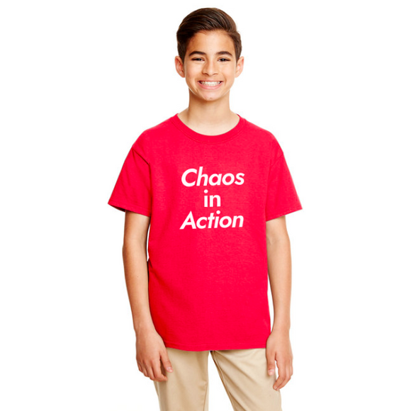 Chaos in Action Youth Tee – APS Physics